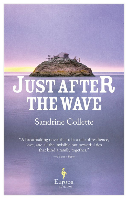 Libro Just after the wave di Sandrine Collette - ean 9781609455675 - Europa Editions