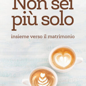 Libro Non sei più solo. Insieme verso il matrimonio di Alberto Guglielmi - ean 9788801067903 - Editrice Elledici