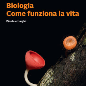 Libro Biologia. Come funziona la vita. Piante e funghi di James R. Morris; Daniel L. Hartl; Andrew H. Knoll - ean 9788808188854 - Zanichelli
