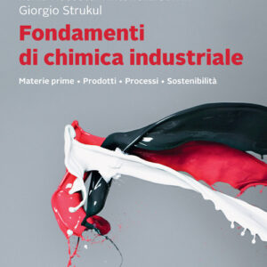 Libro Fondamenti di chimica industriale. Materie prime