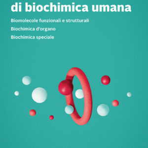 Libro Fondamenti di biochimica umana di Mauro Maccarrone - ean 9788808420190 - Zanichelli