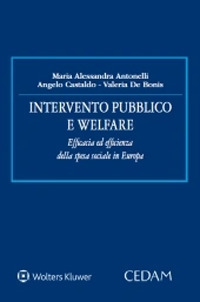 Libro Intervento pubblico e welfare. Efficacia ed efficienza della spesa sociale in Europa di Maria Alessandra Antonelli; Angelo Castaldo; Valeria De Bonis - ean 9788813370527 - CEDAM