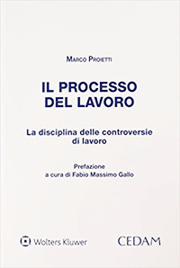 Libro processo del lavoro di Marco Proietti - ean 9788813372958 - CEDAM