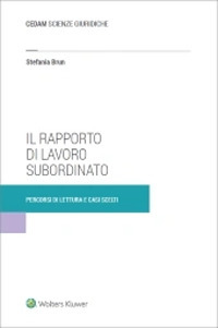 Libro rapporto di lavoro subordinato. Percorsi di lettura e casi scelti di Stefania Brun - ean 9788813373221 - CEDAM