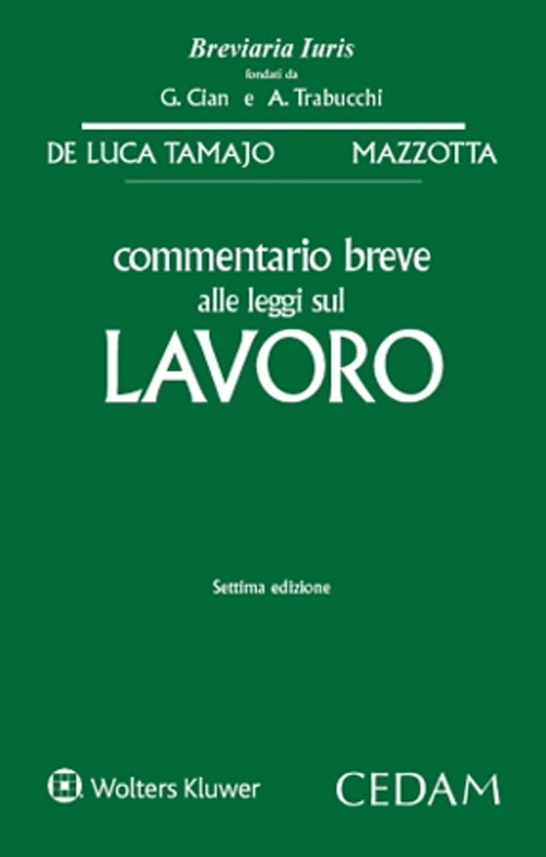 Libro Commentario breve alle leggi sul lavoro di Raffaele De Luca Tamajo; Oronzo Mazzotta - ean 9788813380489 - CEDAM