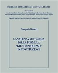 Libro Violenza autonoma della formula giusto processo in costruzione di Pasquale Raucci - ean 9788813385200 - CEDAM