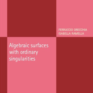 Libro Algebraic surfaces with ordinary singularities di Ferruccio Orecchia; Isabella Ramella - ean 9788820769925 - Liguori