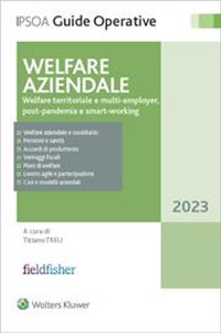 Libro Welfare aziendale. Welfare territoriale e multi-employer