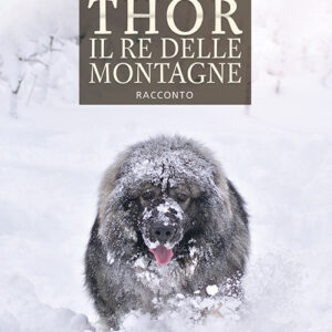 Libro Thor il re delle montagne di Ferruccio Svaluto Moreolo - ean 9788824941433 - BooksprintEdizioni