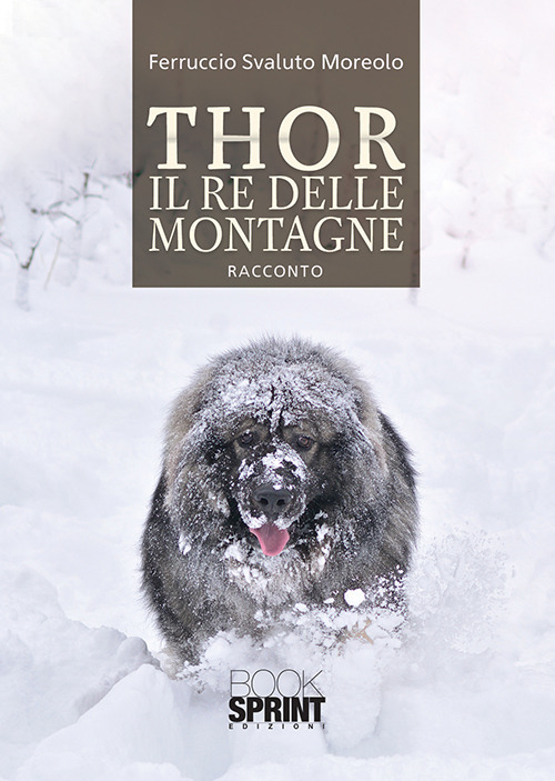 Libro Thor il re delle montagne di Ferruccio Svaluto Moreolo - ean 9788824941433 - BooksprintEdizioni