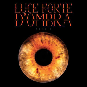 Libro Luce forte d'ombra di Giosuè Francesco Basileo - ean 9788824980500 - BooksprintEdizioni