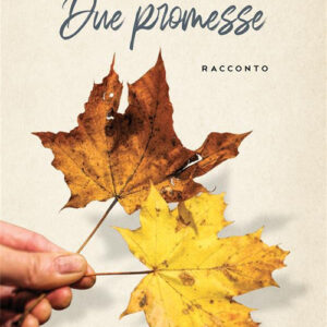 Libro Due promesse di Riccardo Vignati - ean 9788824980647 - BooksprintEdizioni