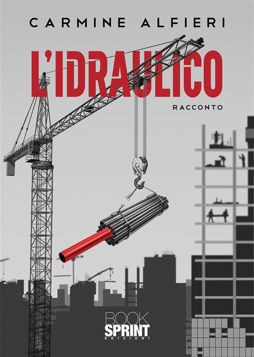 Libro idraulico di Carmine Alfieri - ean 9788824983990 - BooksprintEdizioni