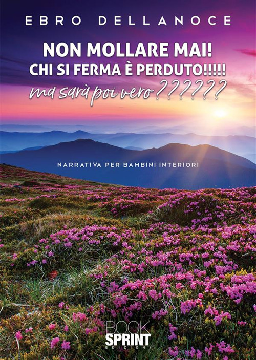 Libro Non mollare mai! Chi si ferma è perduto! Ma sarà poi vero? di Ebro Dellanoce - ean 9788824985376 - BooksprintEdizioni