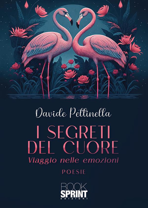 Libro segreti del cuore. Viaggio nelle emozioni di Davide Pettinella - ean 9788824997003 - BooksprintEdizioni
