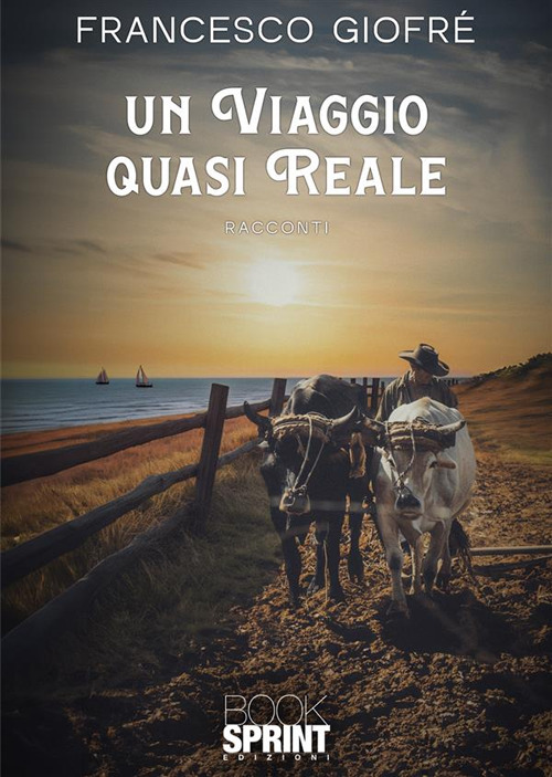 Libro viaggio quasi reale di Francesca Giofrè - ean 9788824998239 - BooksprintEdizioni