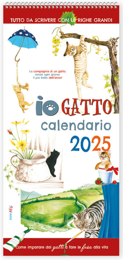 Libro Io gatto