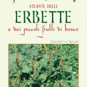 Libro Atlante delle erbette e dei piccoli frutti di bosco di Paola Mancini - ean 9788826208794 - Edizioni del Baldo