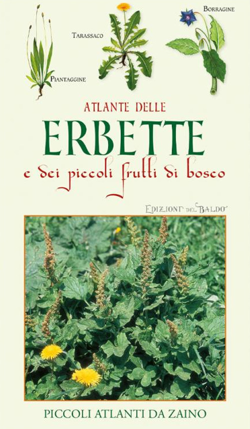 Libro Atlante delle erbette e dei piccoli frutti di bosco di Paola Mancini - ean 9788826208794 - Edizioni del Baldo