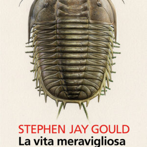 Libro - La vita meravigliosa. I fossili di Burgess e la natura della storia - ISBN 9788807885969