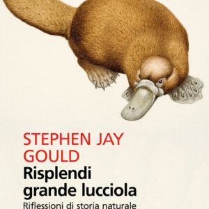Libro - Risplendi grande lucciola. Riflessioni di storia naturale - ISBN 9788807890840