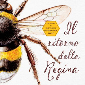 Libro - Il ritorno della regina. Le mie avventure con le api selvatiche - ISBN 9788820390600