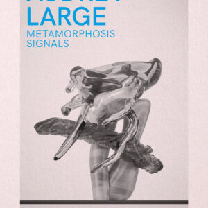Libro - Audrey Large. Metamorphosis signals. Ediz. italiana e inglese - ISBN 9788822920751