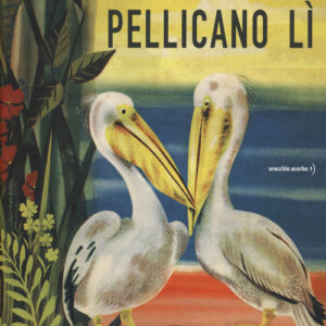 Libro - Pellicano qui pellicano lì - ISBN 9788832070613