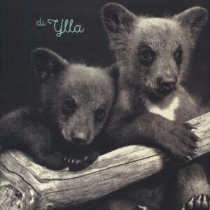 Libro - Due piccoli orsi - ISBN 9788832070736