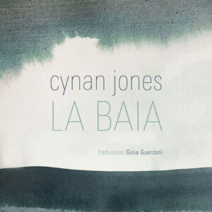 Libro - La baia - ISBN 9788832971101