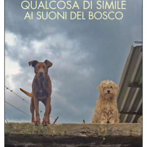 Libro - Qualcosa di simile ai suoni del bosco - ISBN 9788833576770