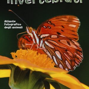 Libro - Invertebrati. Atlante fotografico degli animali - ISBN 9788841874974