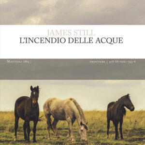Libro - L'incendio delle acque - ISBN 9788862617956