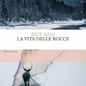 Libro - La vita delle rocce - ISBN 9788862619004