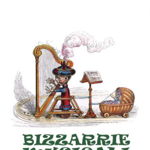Libro - Bizzarie musicali - ISBN 9788865400364