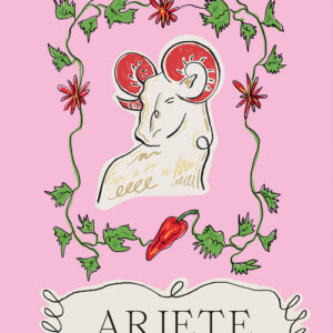 Libro - Ariete - ISBN 9788866487104