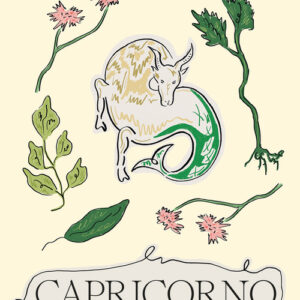 Libro - Capricorno - ISBN 9788866487135