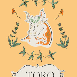 Libro - Toro - ISBN 9788866487197