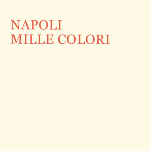 Libro - Napoli mille colori - ISBN 9788866921158