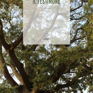 Libro - Il testimone - ISBN 9788869346682