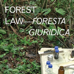 Libro - Forest law-Foresta giuridica - ISBN 9788874527939
