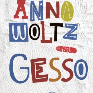 Libro - Gesso - ISBN 9788874591312