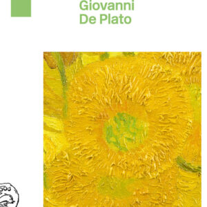 Libro - Vincent Van Gogh. Il giallo della follia - ISBN 9788876446948