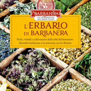 Libro - L'erbario di Barbanera. Virtù, rimedi e coltivazione delle erbe del benessere. Secondo tradizione e in armonia con la natura - ISBN 9788879320450
