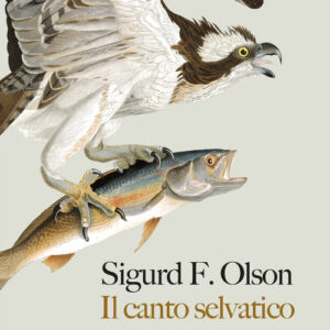 Libro - Il canto selvatico - ISBN 9788893711678