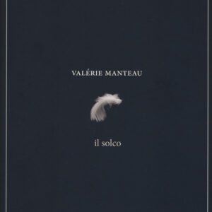 Libro - Il solco - ISBN 9788899793753
