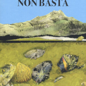 Libro - Non basta - ISBN 9788899876265