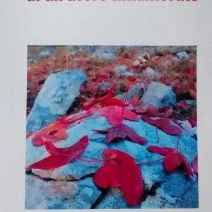 Libro - I caduchi sentimenti di un acero innamorato - ISBN 9791220031622