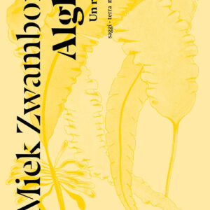 Libro - Alghe. Un ritratto - ISBN 9791254800461