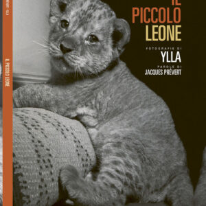 Libro - Il piccolo leone - ISBN 9791255070283